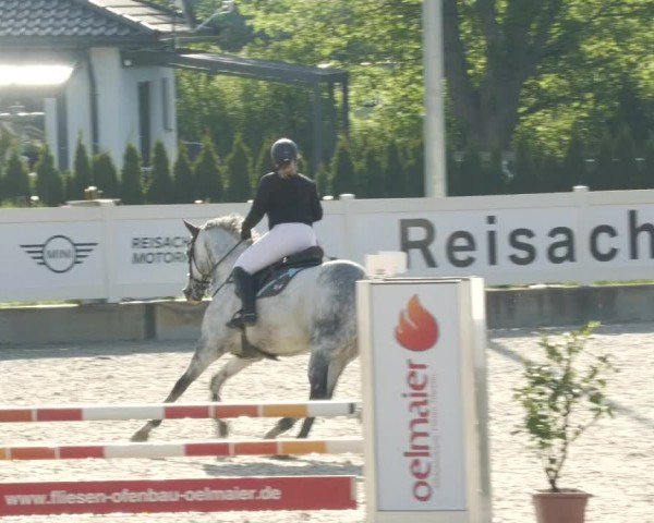 Reitturnier Babenhausen/Schw. 2024