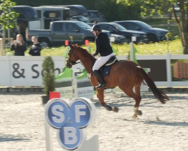 Reitturnier Babenhausen/Schw. 2024