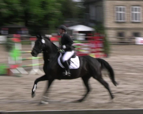 Reitturnier Hildesheim-Steuerwald 2024