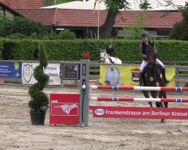 Turniej Jeździecki Hildesheim-Steuerwald 2024