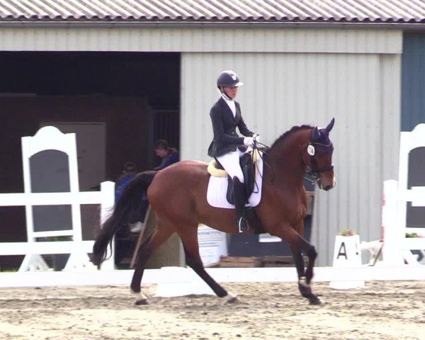 Reitturnier Dressurturnier Mildstedt 2024
