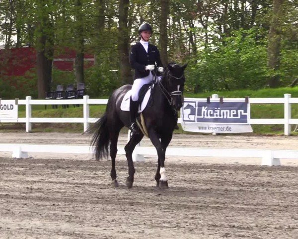 Reitturnier Dressurturnier Mildstedt 2024