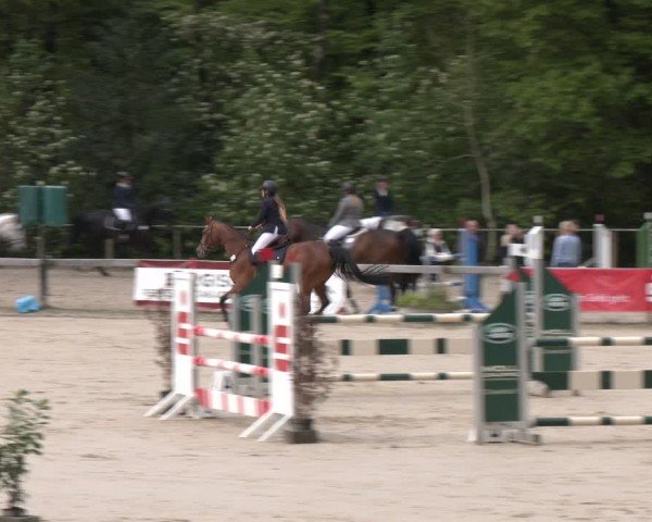Reitturnier Wuppertal-Gelpe 2024