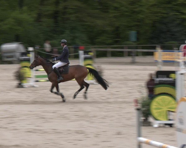 Reitturnier Wuppertal-Gelpe 2024