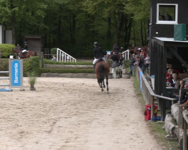Reitturnier Wuppertal-Gelpe 2024