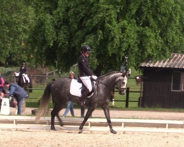 Reitturnier Derenburg 2024