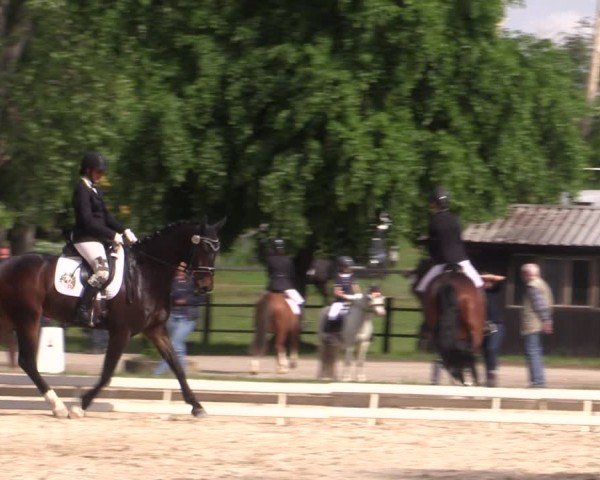 Reitturnier Derenburg 2024