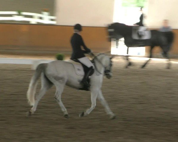 Reitturnier Hildesheim-Steuerwald 2024