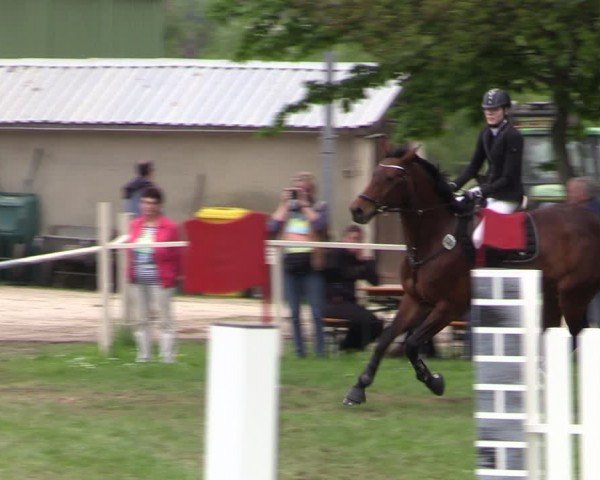 Reitturnier Derenburg 2024