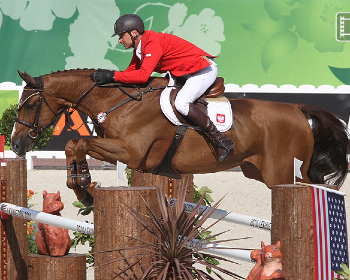 Springhest van Halen (KWPN (hollandsk varmblod), 2002, fra Hors la Loi II)