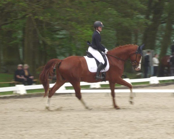 Reitturnier Gallinchen 2024