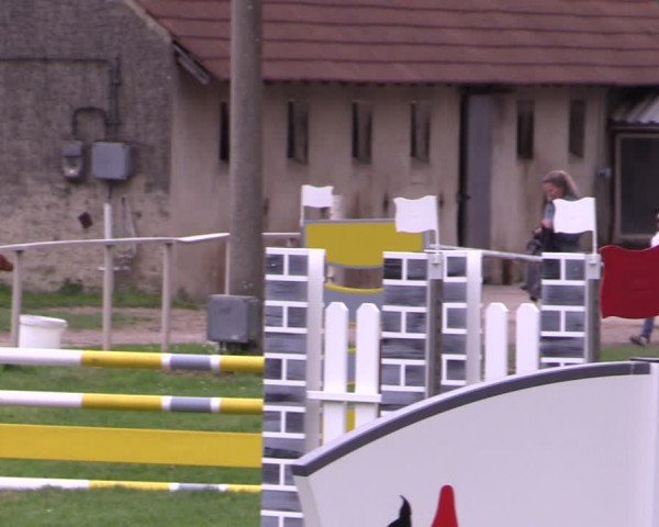 Reitturnier Derenburg 2024