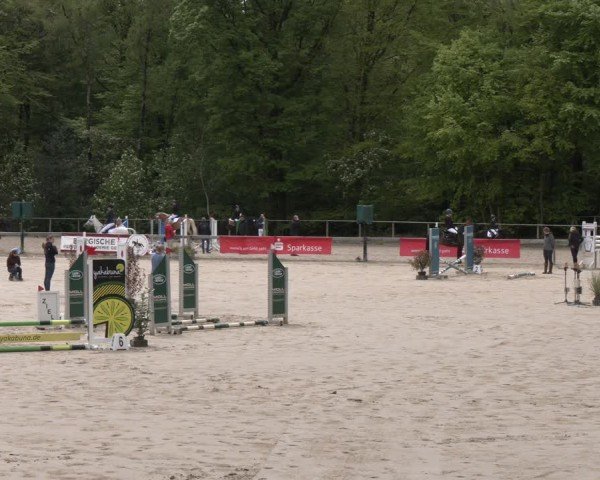 Reitturnier Wuppertal-Gelpe 2024