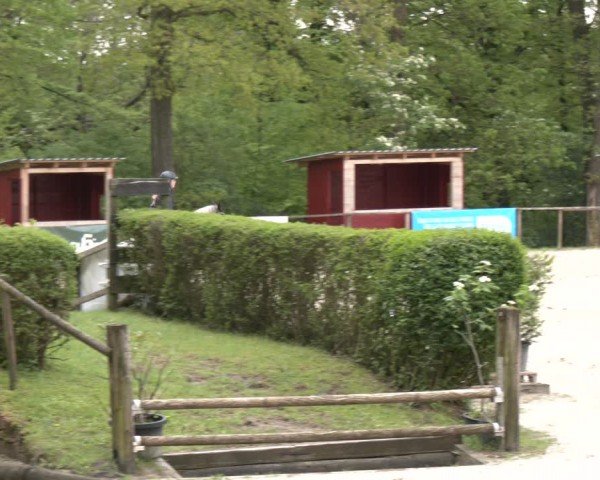 Reitturnier Wuppertal-Gelpe 2024
