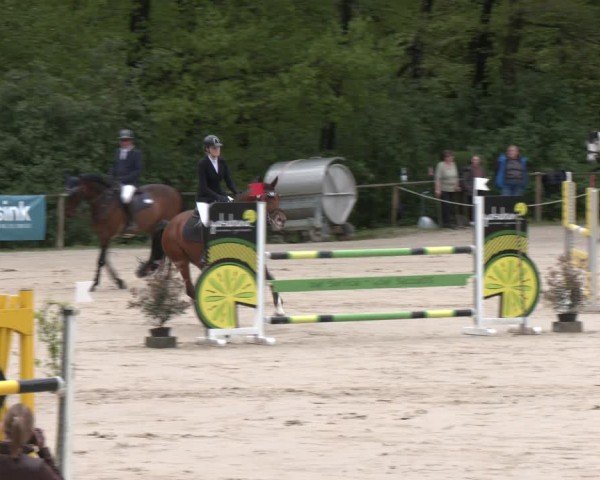 Reitturnier Wuppertal-Gelpe 2024