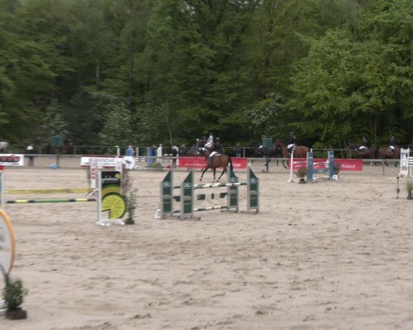 Reitturnier Wuppertal-Gelpe 2024