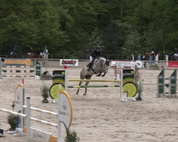 Reitturnier Wuppertal-Gelpe 2024
