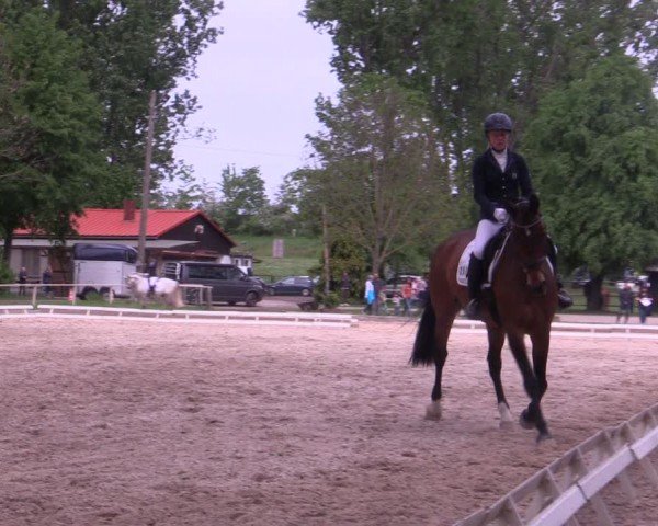 Reitturnier Derenburg 2024