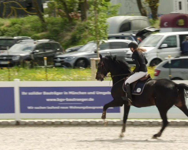 Reitturnier Babenhausen/Schw. 2024
