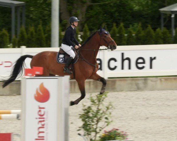 Reitturnier Babenhausen/Schw. 2024