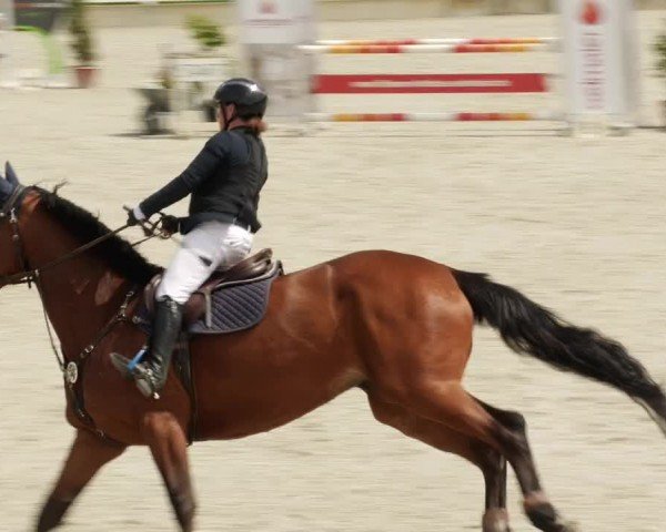 Reitturnier Babenhausen/Schw. 2024