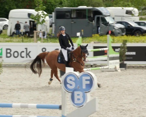 Reitturnier Babenhausen/Schw. 2024