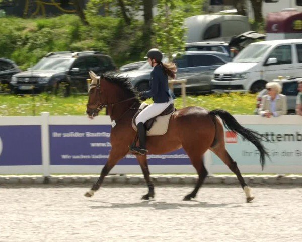 Reitturnier Babenhausen/Schw. 2024