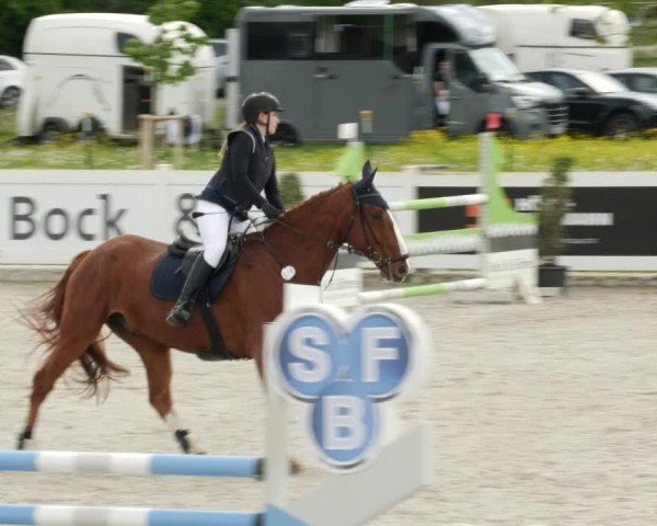 Reitturnier Babenhausen/Schw. 2024