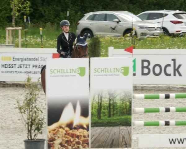 Reitturnier Babenhausen/Schw. 2024