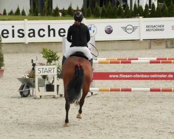 Reitturnier Babenhausen/Schw. 2024