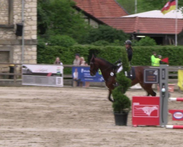 Reitturnier Hildesheim-Steuerwald 2024