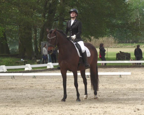 Reitturnier Gallinchen 2024