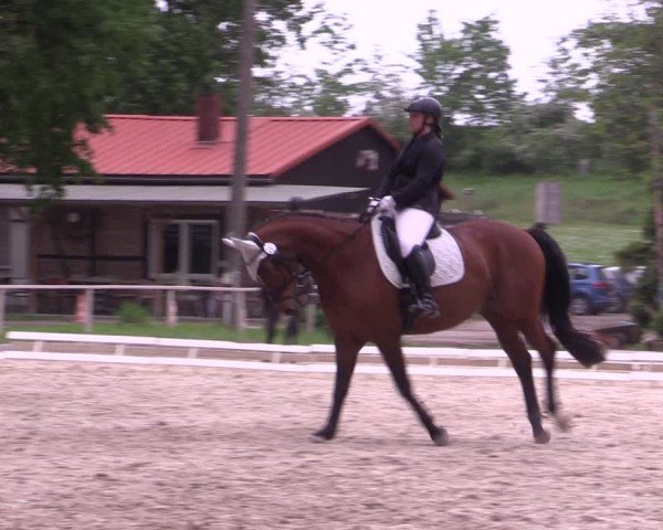 Reitturnier Derenburg 2024
