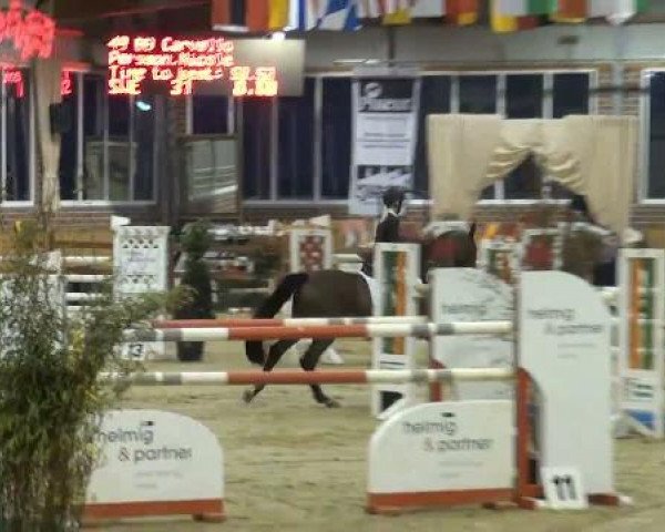Rosendorf-Classics 2012