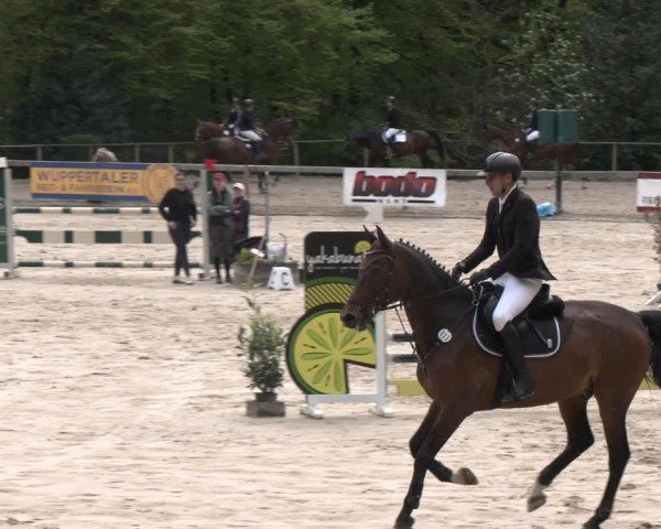 Reitturnier Wuppertal-Gelpe 2024