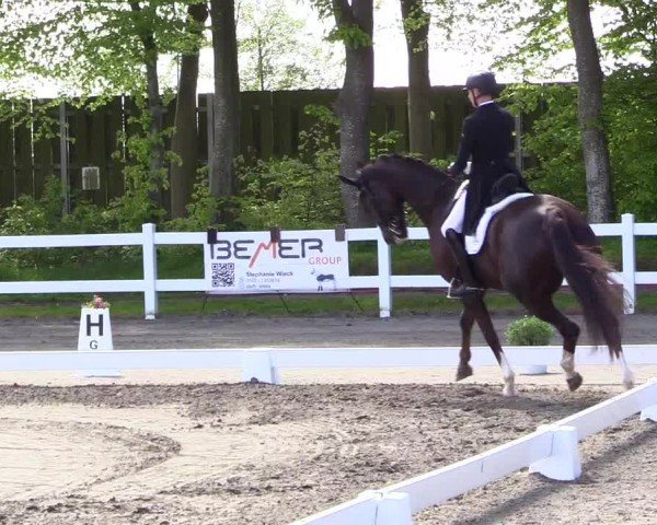 Reitturnier Dressurturnier Mildstedt 2024