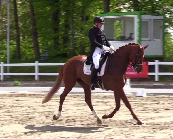Reitturnier Dressurturnier Mildstedt 2024