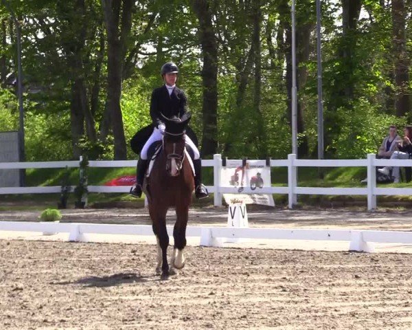 Reitturnier Dressurturnier Mildstedt 2024