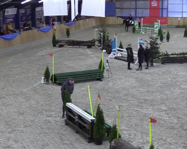 Reitturnier Großenwiehe 2021