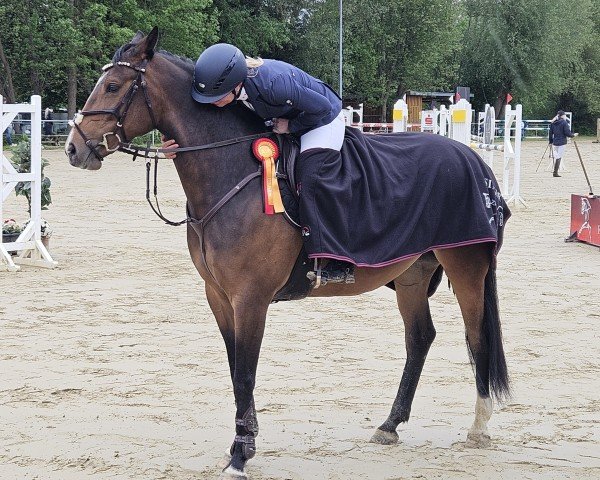 jumper Schokaminza (German Sport Horse, 2019, from Stakkido)