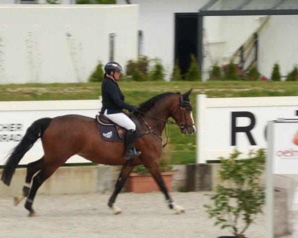 Reitturnier Babenhausen/Schw. 2024