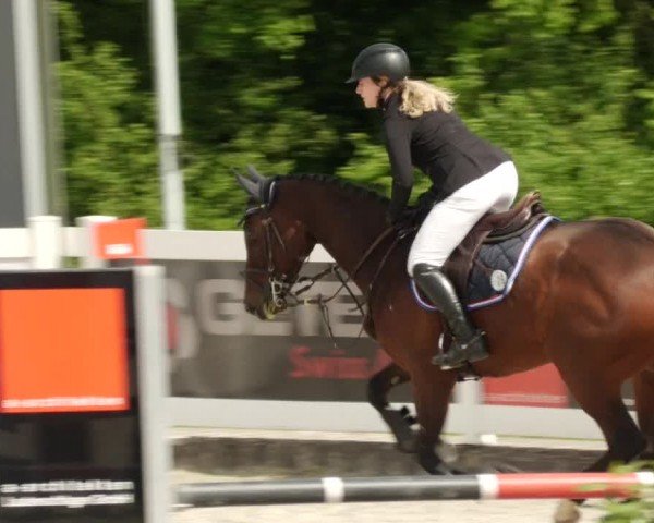 Reitturnier Babenhausen/Schw. 2024