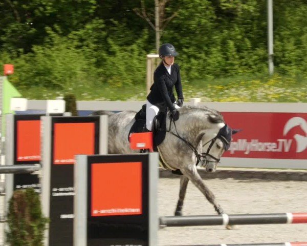 Reitturnier Babenhausen/Schw. 2024
