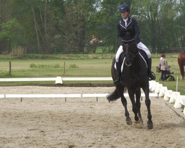 Reitturnier Gallinchen 2024