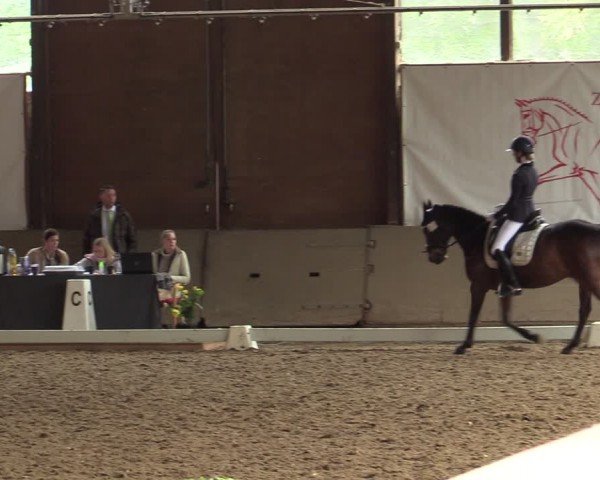 Reitturnier Kamen 2024