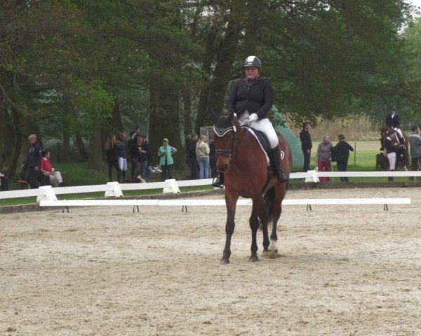 Reitturnier Gallinchen 2024