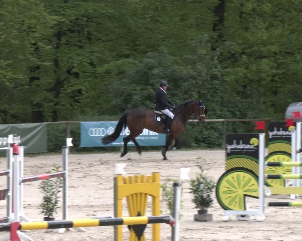 Reitturnier Wuppertal-Gelpe 2024