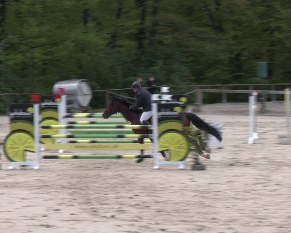 Reitturnier Wuppertal-Gelpe 2024