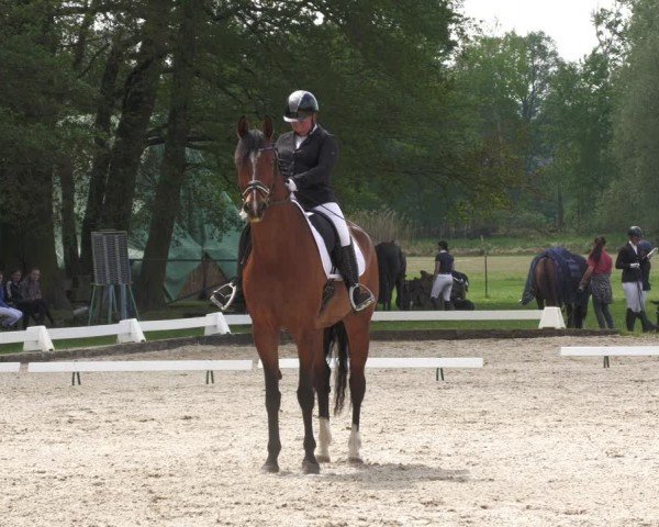 Reitturnier Gallinchen 2024