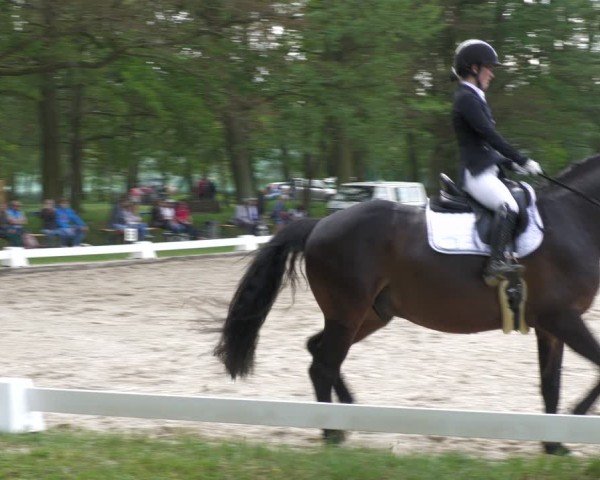 Reitturnier Gallinchen 2024